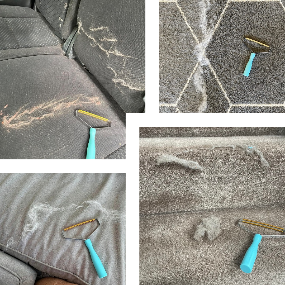 NETTOYEUR DE POILS D'ANIMAUX MAGIQUE - PAR PULCEOBLISS